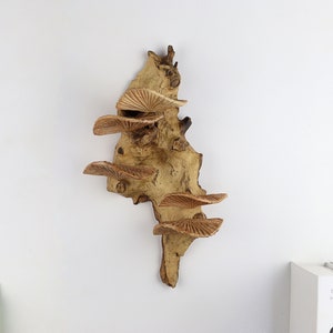 K&ouml;nnte beinhalten: Eine Wandskulptur aus Holz mit einer nat&uuml;rlichen braunen Oberfl&auml;che. Die Skulptur zeigt mehrere Schichten aus Keramikpilzen in Braun- und Beiget&ouml;nen.