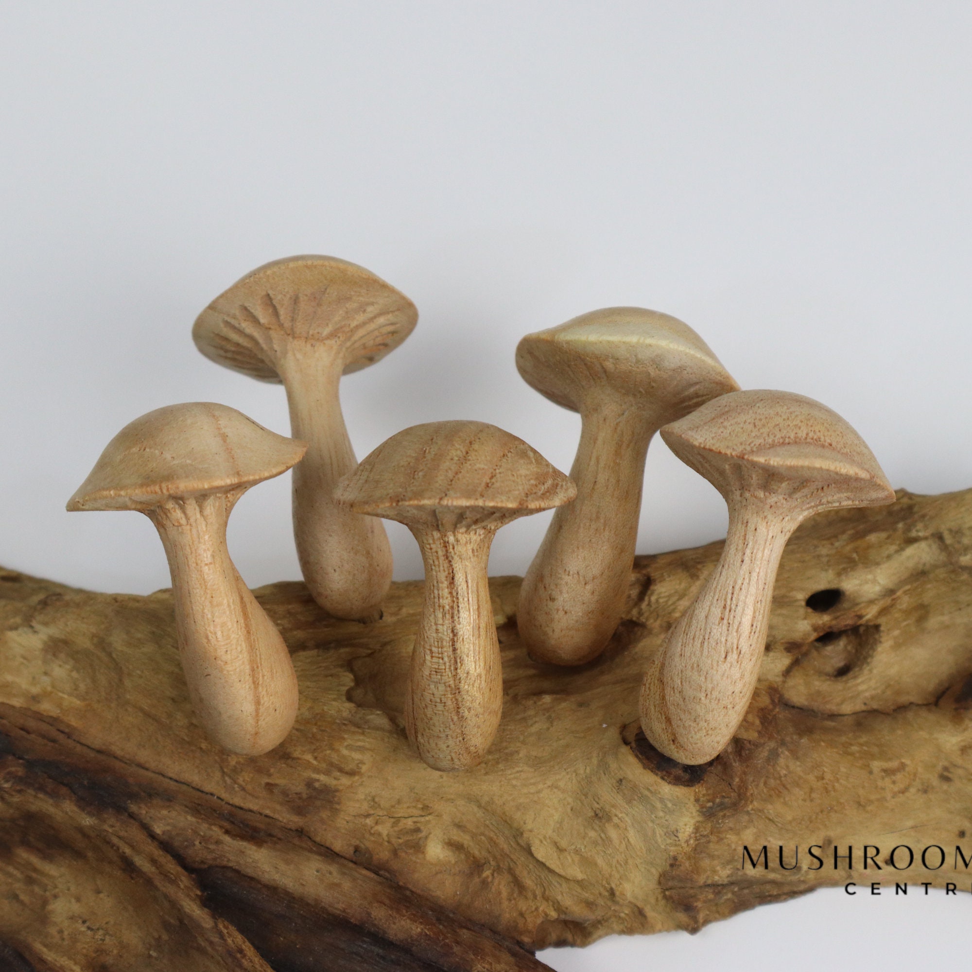 Wooden Mushroom Wall Hooks - For Light Sleepers