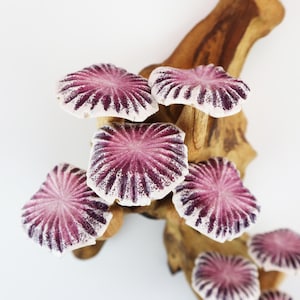 May include: A cluster of ceramic mushroom sculptures with a vibrant purple and white color scheme, mounted on a natural wood branch. The mushroom caps feature radial patterns and are set against a clean white background.