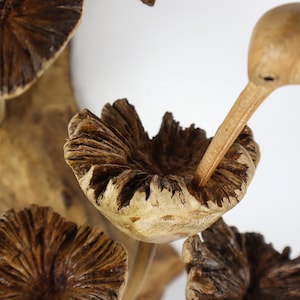 May include: A wooden sculpture featuring a bird with a long beak, reaching into a carved wooden mushroom. The mushrooms are brown with textured caps, and the bird is a light brown color. The sculpture is set against a white background.