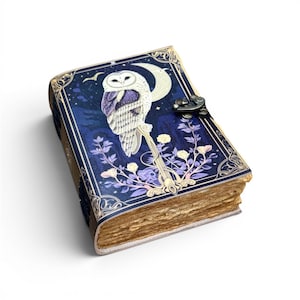 Puede incluir: Un diario decorativo con una cubierta azul oscuro que presenta un búho posado en una luna creciente. La cubierta tiene un diseño floral con detalles blancos y morados. El diario tiene un cierre de metal y páginas envejecidas.