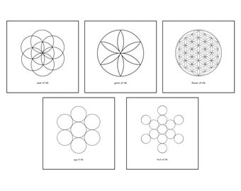 Sacred Geometry/ Egg of Life/ Fruit of Life/ Seed of Life/ Germ of Life/ Flower of Life/ Genesis/ Downloadable Digital Print/ Yoga Room