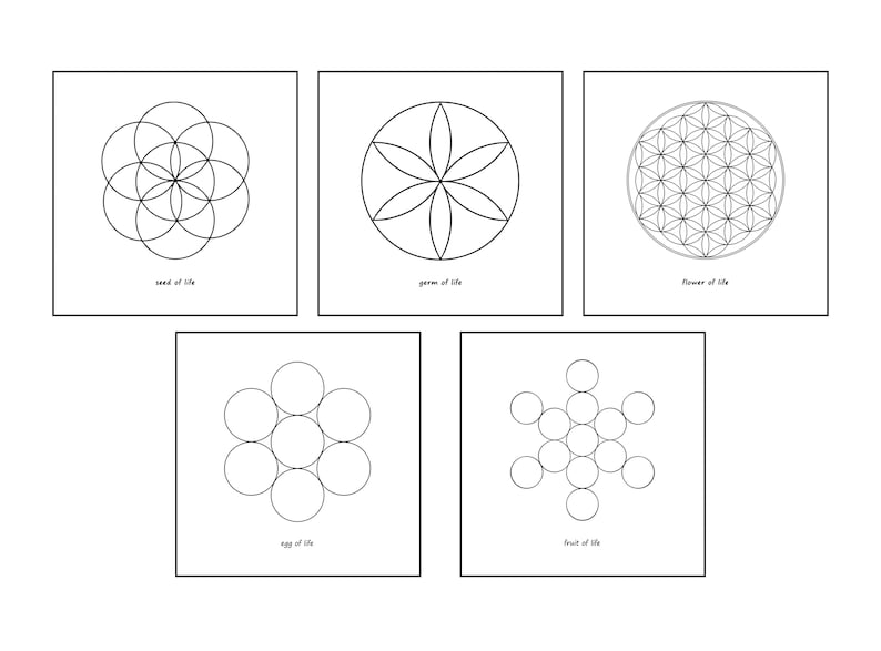 Sacred Geometry/ Egg of Life/ Fruit of Life/ Seed of Life/ Germ of Life