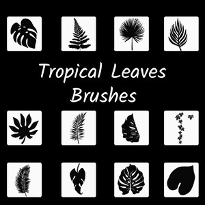 Tropical Leaves Brushes for Photoshop