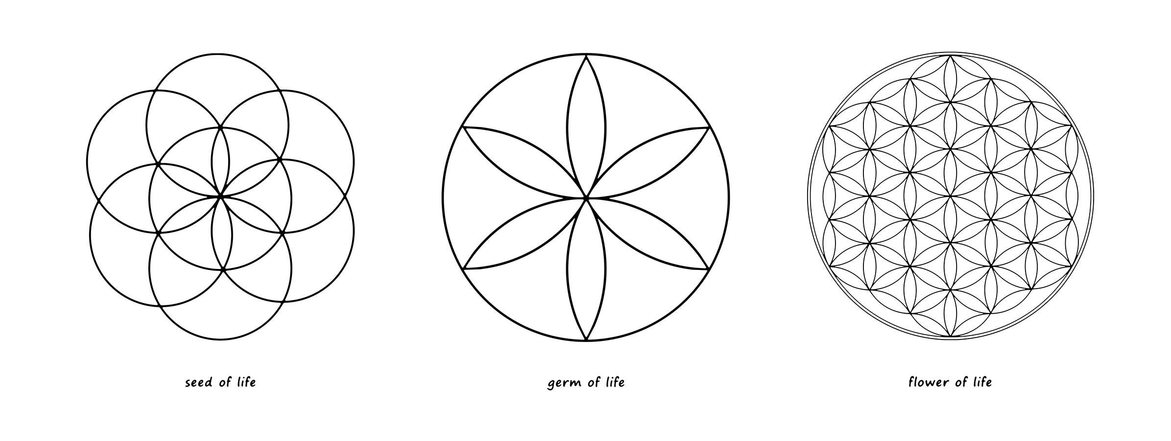 Sacred Geometry/ Seed of Life/ Germ of Life/ Flower of Life/ Etsy