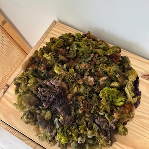May include: A pile of green, brown, and purple wool roving. The wool is arranged in a circular shape and appears to be hand-dyed.