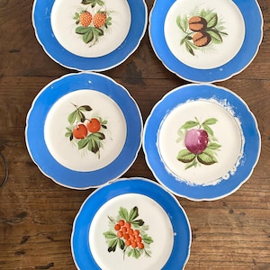 Peut inclure: Ensemble de cinq assiettes en céramique blanche avec une bordure bleue et des motifs de fruits peints à la main. Chaque assiette présente un fruit différent, notamment des fraises, des prunes, des cerises et un groupe de baies rouges.