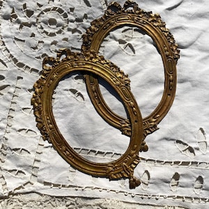 Può includere: Due cornici ovali color oro con intricati dettagli in rilievo di motivi floreali e nastri. Le cornici presentano una finitura metallica con texture visibile ed elementi decorativi lungo i bordi esterni degli ovali.