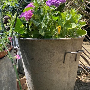 Old zinc basins, zinc planter basin, Old zinc basins, zinc planter basin