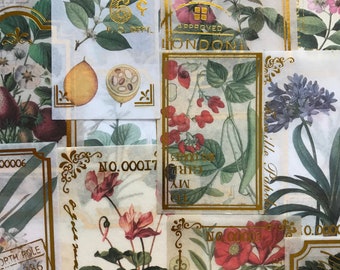 20 Gold Foil Plant Stickers/ Botanical Deco Scrapbook Stickers/ Craft Supplies/ Ephemera Stickers/ Flower Stickers/ Journal / Planner