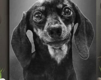 Custom pet Sketch Portrait from Photo: Personalized dog Memorial paint gift