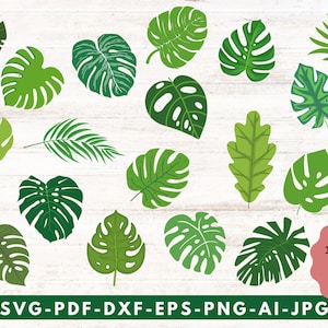 Tropisches SVG-Bundle, Tropisches Blatt-Svg, Palmenblätter-Svg, Palmenzweig-Svg, Dschungelblätter-Svg, Monstera-Svg, digitales Produkt