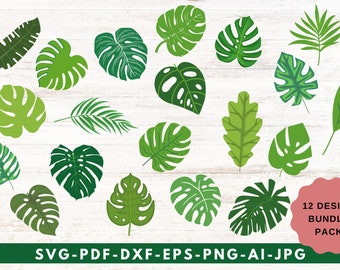 Pacote de arquivos SVG com folhas tropicais: desenhos de palmeiras e monstera (produto digital)