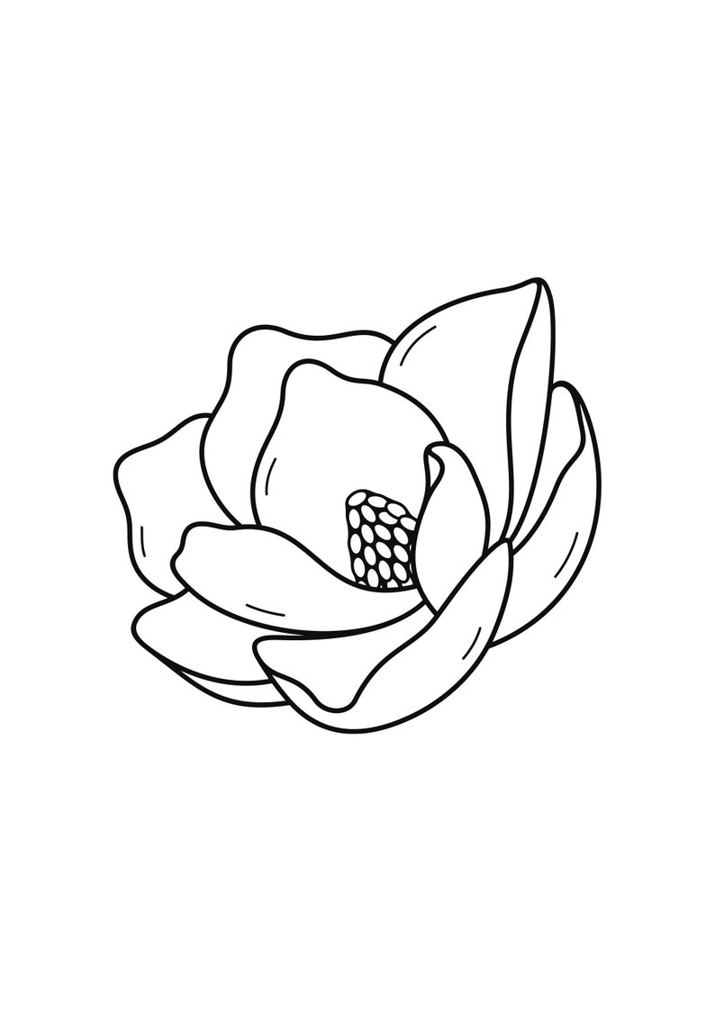 以下が含まれることがあります： マグノリアの花の白黒の線画。花は満開で、複数の花びらがあります。