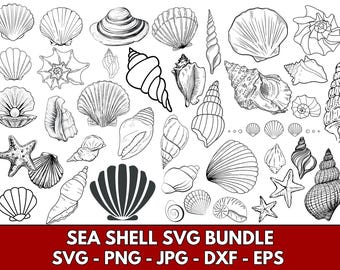 Pacote de SVG de Conchas Marinhas: Clipart do Oceano, Gráficos Vetoriais (Download Digital)