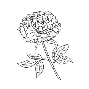 以下が含まれることがあります： 葉のついた牡丹の花の白黒の線画です。