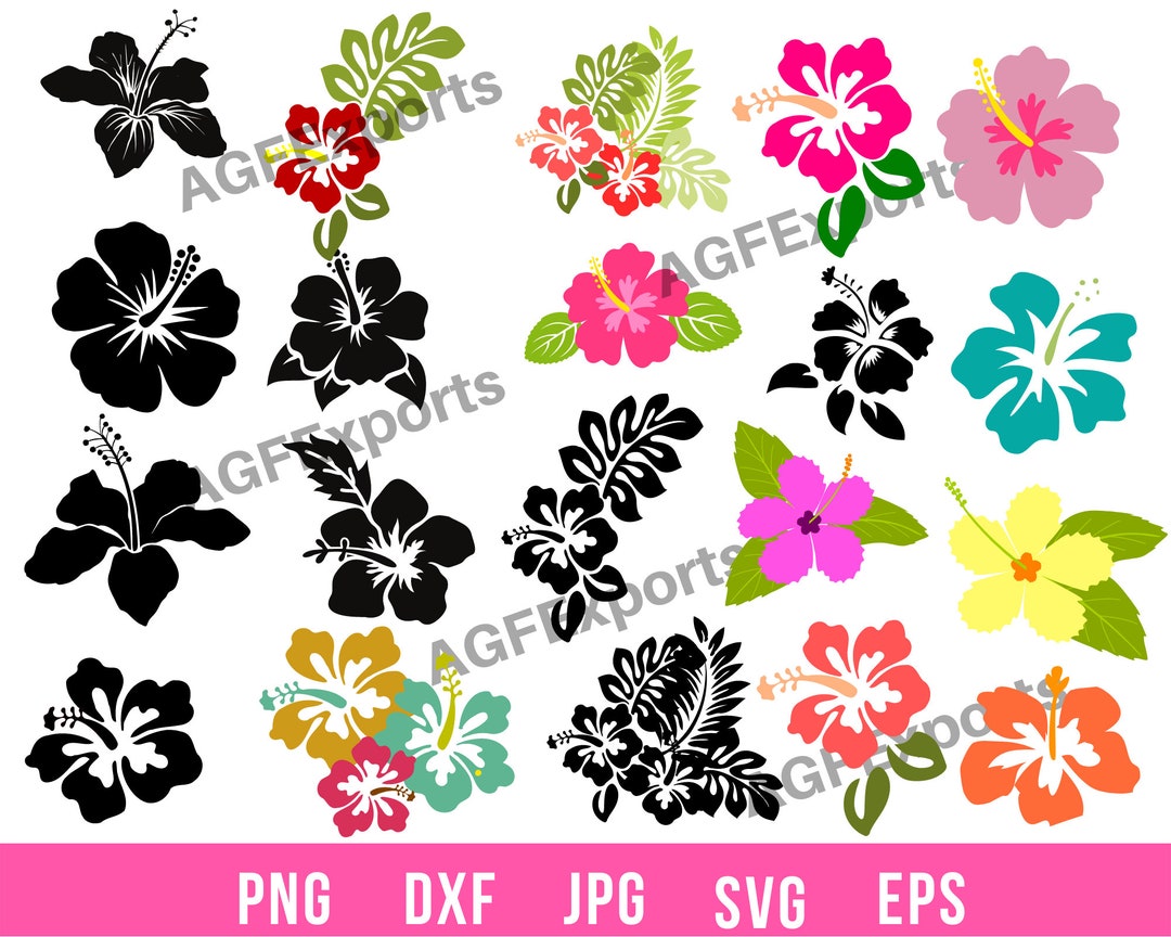 Hibiscus Flower SVG: Tropical Hawaiian Clip Art (digital Download) - Etsy