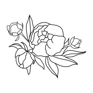 以下が含まれることがあります： 葉と蕾のある牡丹の花の白黒線画です。