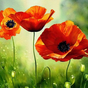 Poppy Watercolor Print Digital Download - Poppy Art Minimalist Decor, Flower Wall Art  Decor, Botanical Print Red Poppies Flower Watercolor