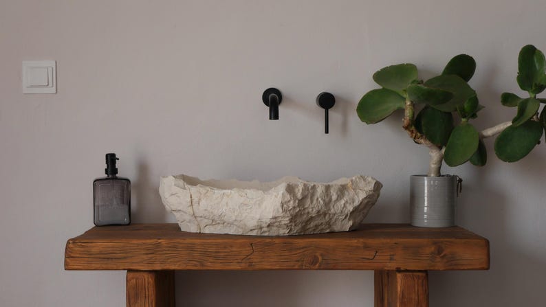 May include: A rustic bathroom vanity with a stone sink, black fixtures, and a wooden countertop. A potted plant with green leaves sits to the right. A dark glass soap dispenser is on the left.