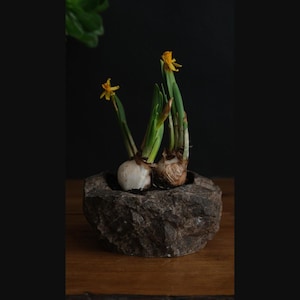 Maceta de mármol hecha a mano, maceta de piedra natural