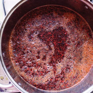 Puede incluir: Una olla de acero inoxidable llena de un l&iacute;quido rojo y part&iacute;culas rojas. El l&iacute;quido est&aacute; burbujeando y las part&iacute;culas flotan en la parte superior.
