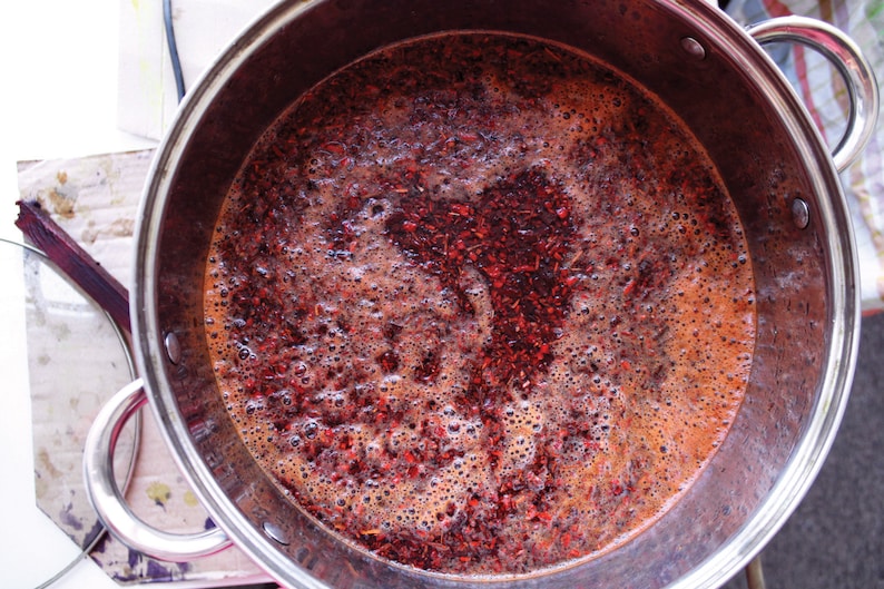 Puede incluir: Una olla de acero inoxidable llena de un l&iacute;quido rojo y part&iacute;culas rojas. El l&iacute;quido est&aacute; burbujeando y las part&iacute;culas flotan en la parte superior.