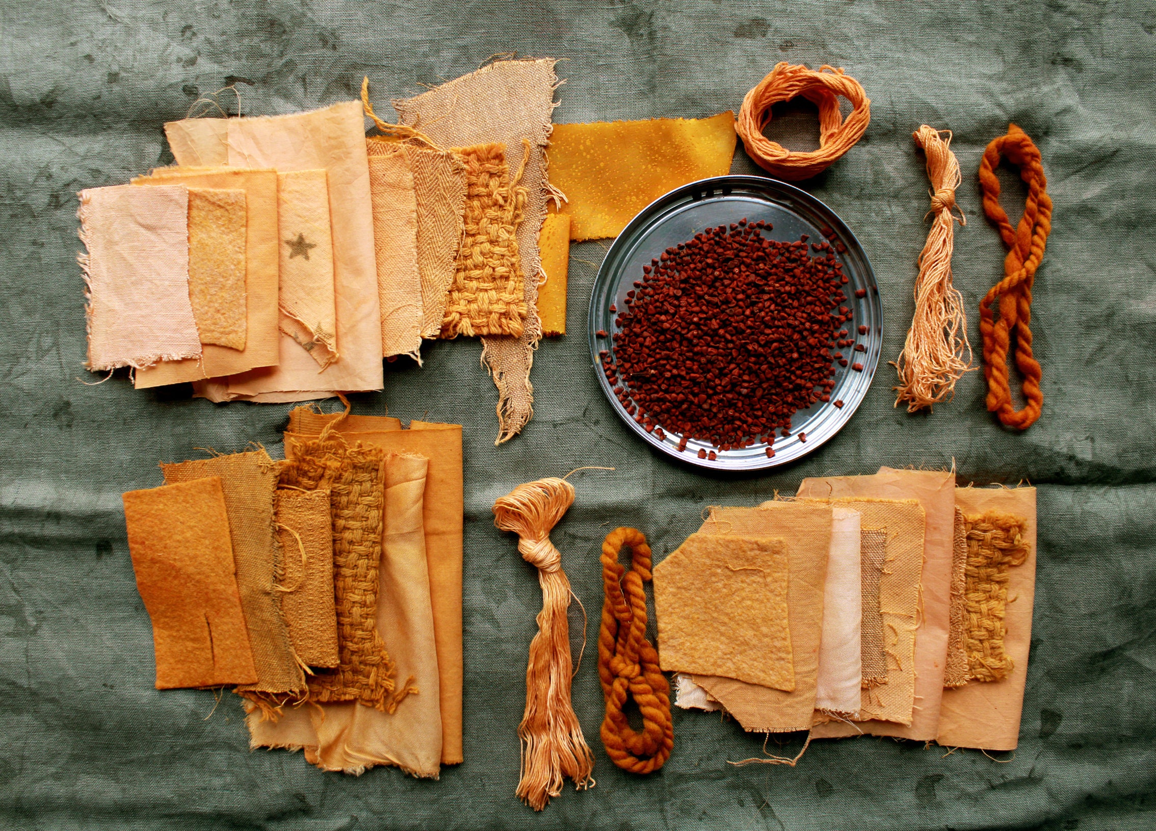 Annatto Dye (seeds): Plant Textile Dye, Natural Orange and Peach 