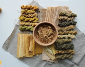 Fustic in chips, natural gold, yellow pigment, daffodil color, orange, green, ochre, plant dye, botanical dye for fibers, textiles nad yarns