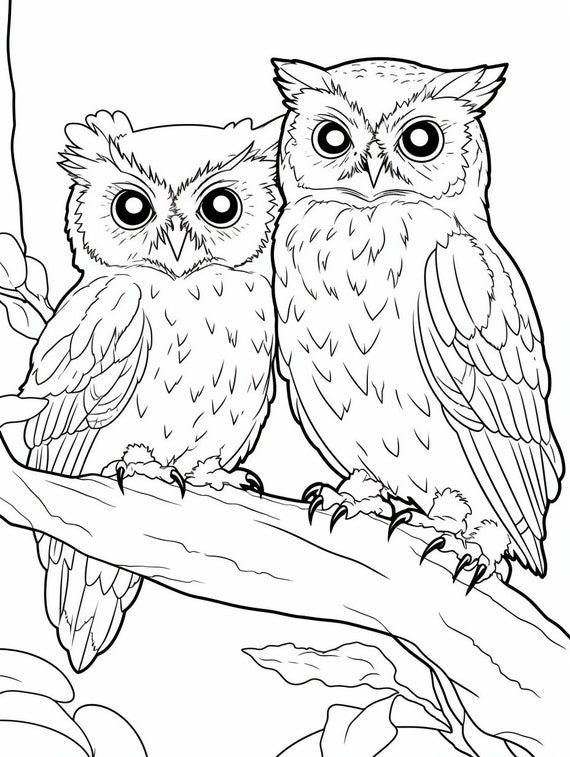 Owls Coloring Books for Kids: Coloring Books for Boys, Coloring Books for  Girls 2-4, 4-8, 9-12, Teens & Adults (Paperback)
