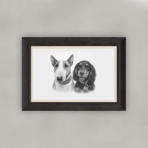 Custom Pet Portrait from photo - Hand-Drawn Illustration