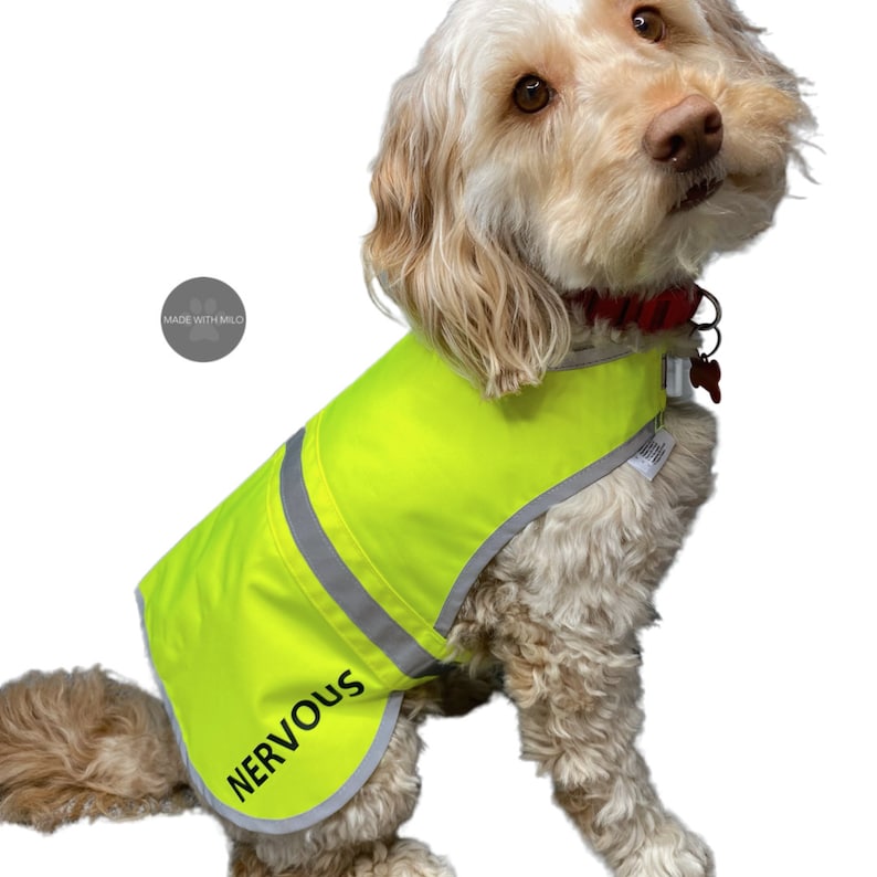 Personalised Dog High Vis Vest Coat Safety Reflective Pet Hi Viz Custom Print Dog Walking Safety Jacket Vest image 3