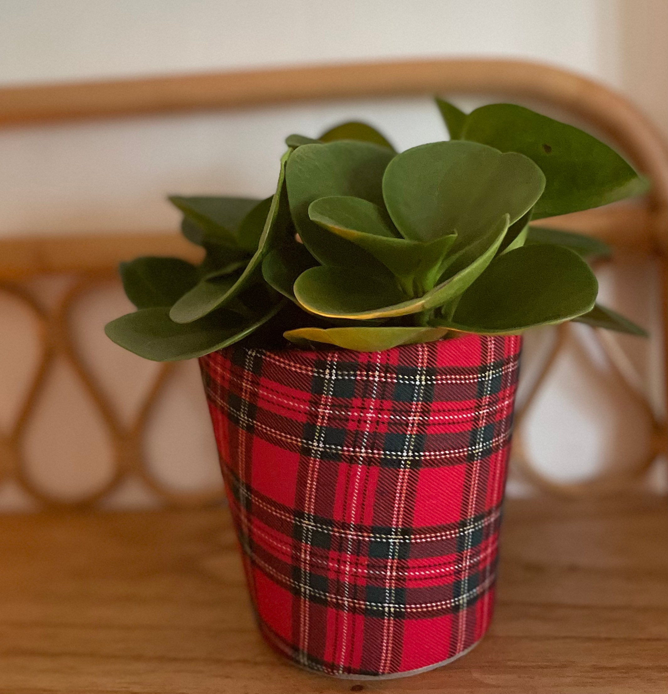 Cache Pot Habillé d'un Tissu Écossais Rouge et Noir