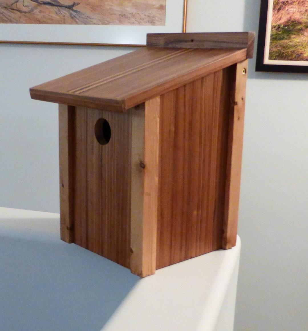 A138 - Eastern Bluebird Birdhouse / Nesting Box - Etsy