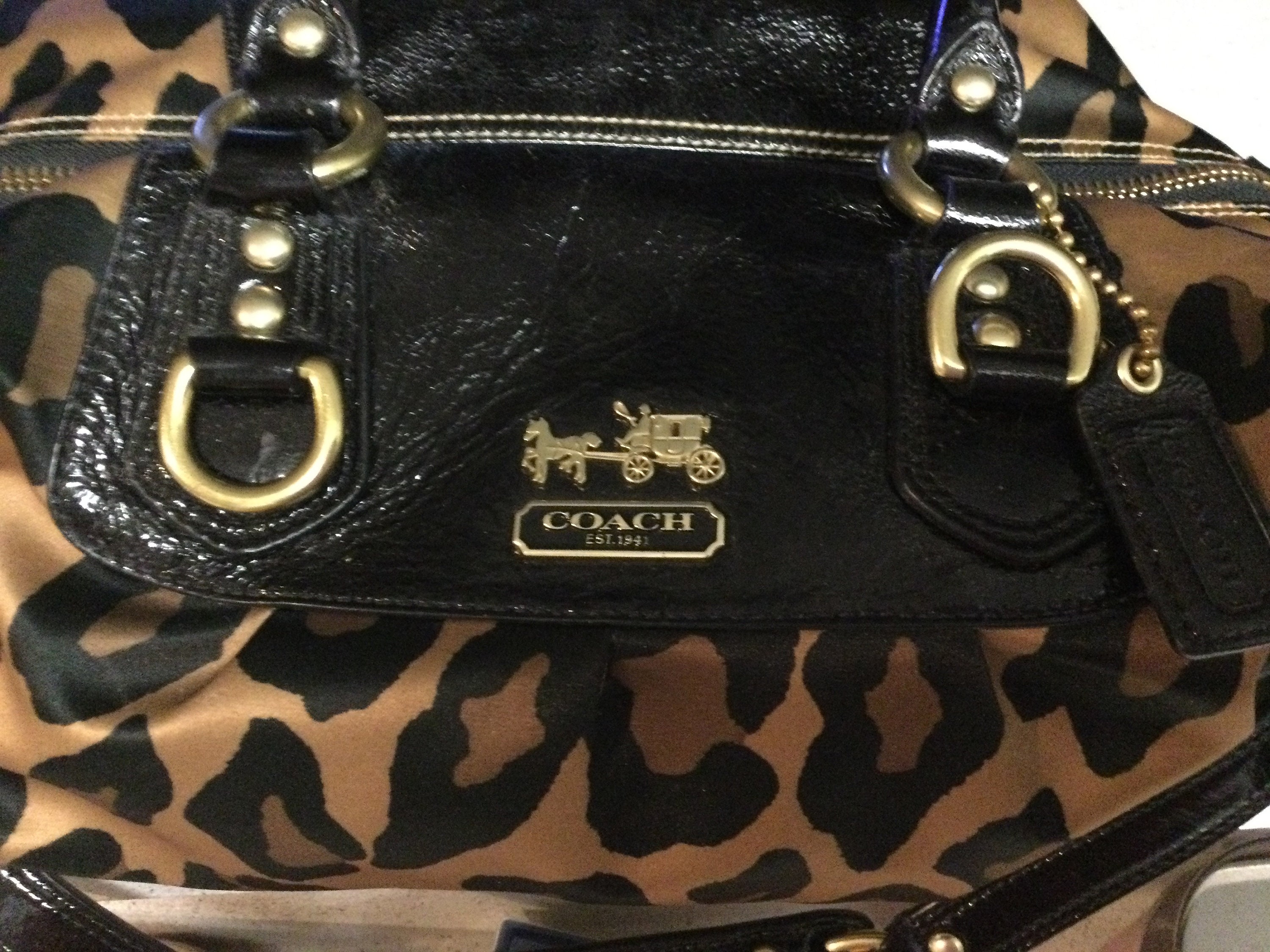 Black Panther on Client's Coach Leopard Print Bag | xanaru