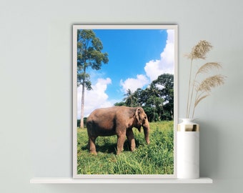 elefante asiático