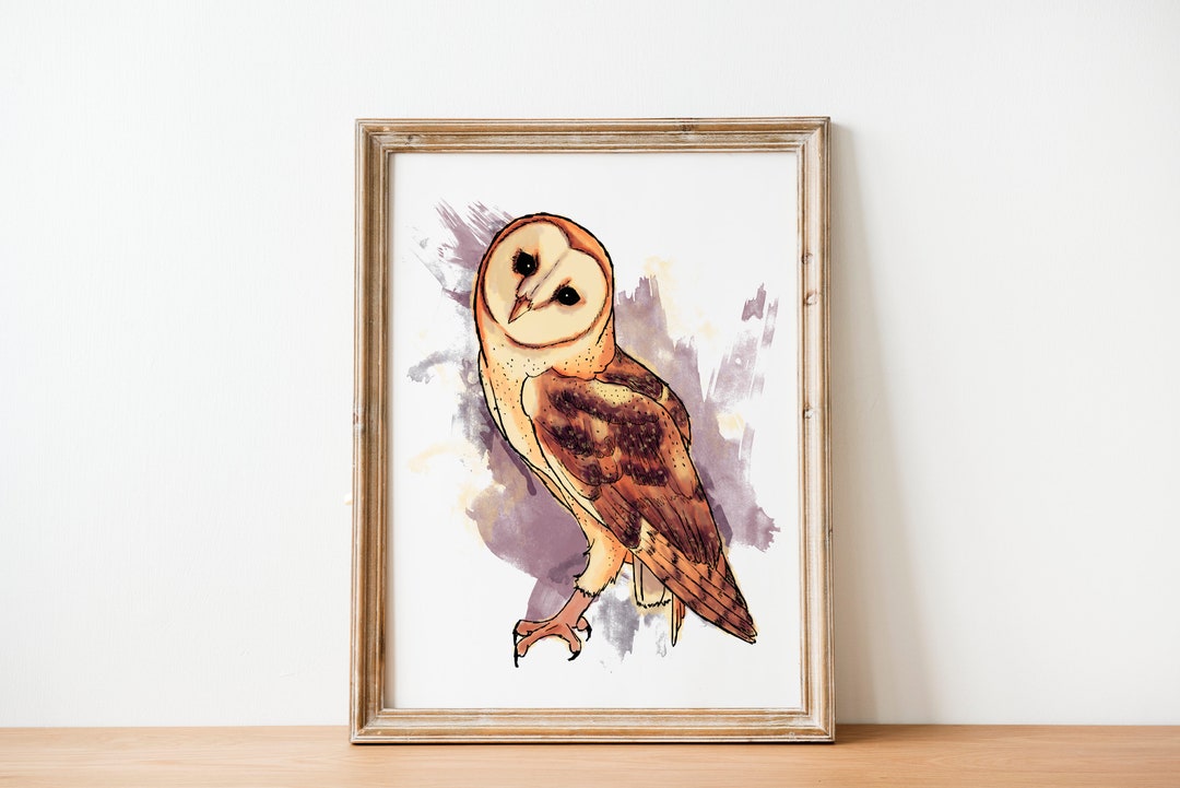 Watercolor Barn Owl Art Print - Etsy