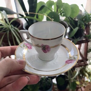 White and Gold Rimmed Teacup Planter with Drainage Hole