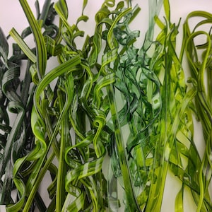 May include: A close-up of a bunch of green, translucent, curly ribbons. The ribbons are made of glass and have a shiny finish.