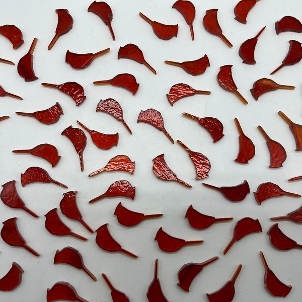 COE90 Mini Cardinal set cut on 3mm Red Transparent Fusible Art Glass! 4 Pack!