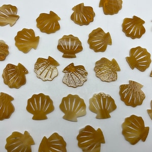 COE90 36mm Precut Seashells on 3mm fusible art glass.3 Pack!