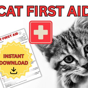 Cat First Aid Instructional Printable | Digital Download
