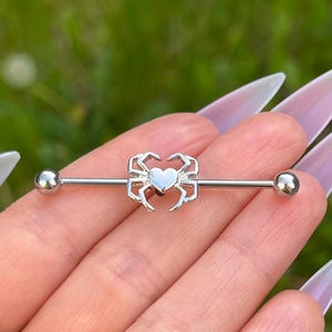 Spinne Industrial Piercing, Gothic Knorpelpiercing, Ohr Barbell Bar, Körperschmuck, Edelstahl, Punk Grunge Emo, 38 mm 14G (1.6 mm)
