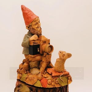 May include: A gnome figurine wearing a red hat holds a camera and points it at a small mouse figurine. The gnome is sitting on a tree stump with leaves and acorns around it. The text "Picture This" is written on the stump.