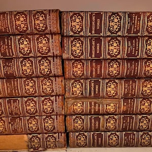 Rare Shakespeare Collection, Rosemary Edition de Luxe, 1901, Antique set of plays and poems by William Shakespeare, Books 1 - 15
