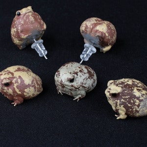 Hand Painted Desert Rain Frog Earrings - 3D Printed