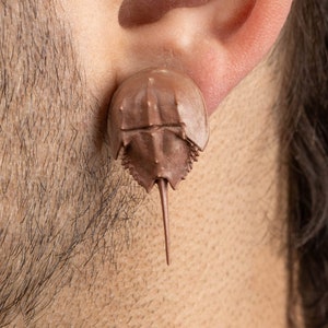 Può includere: Un orecchino marrone a forma di ferro di cavallo con un design dettagliato. L'orecchino è indossato sul lobo dell'orecchio di una persona.