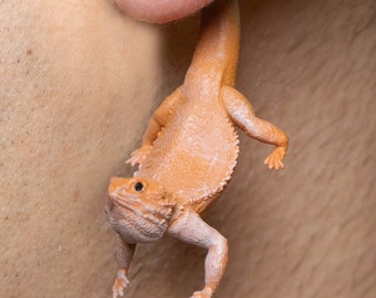 Hand Painted Bearded Dragon Earrings - 3D Printed