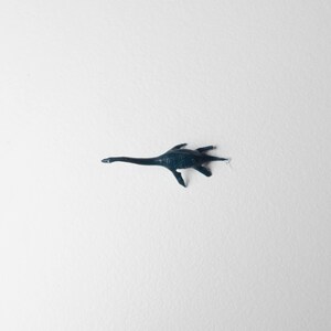 May include: A dark blue plastic toy of a plesiosaur, a prehistoric marine reptile with a long neck and flippers.