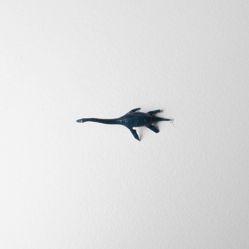 May include: A dark blue plastic toy of a plesiosaur, a prehistoric marine reptile with a long neck and flippers.